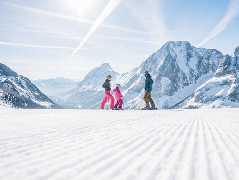 Winter Skifahren Familie
