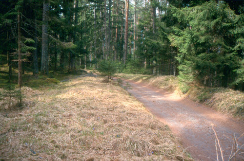 Original Trasse Strader Wald