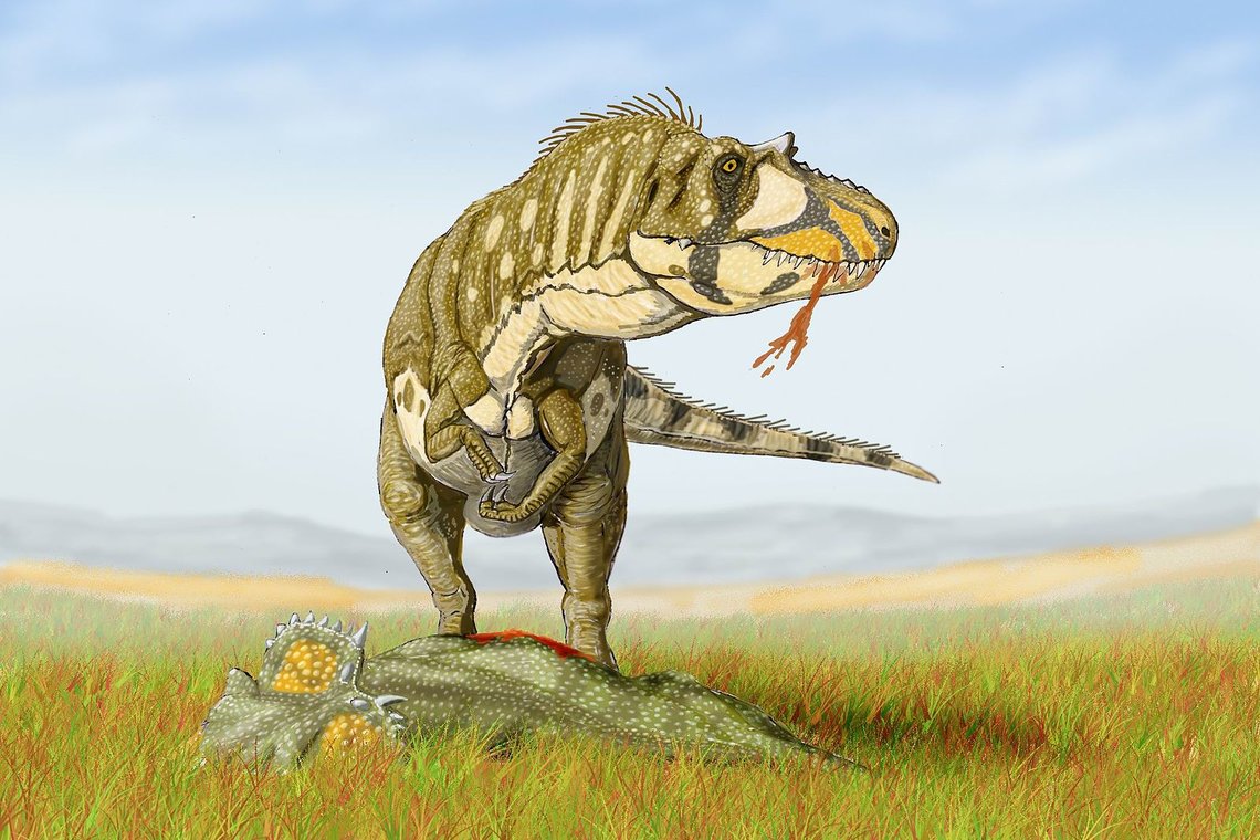 Daspletosaurus Gruppe Der Fleischfressenden Theropoden