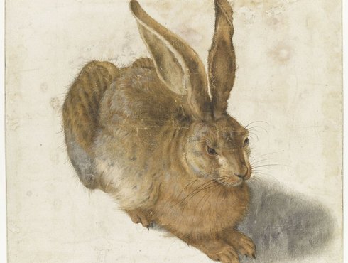Dürer Hase Louvre