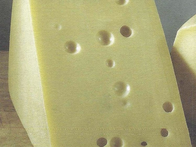 Besondere Lebensmittel Käse mit Löchern