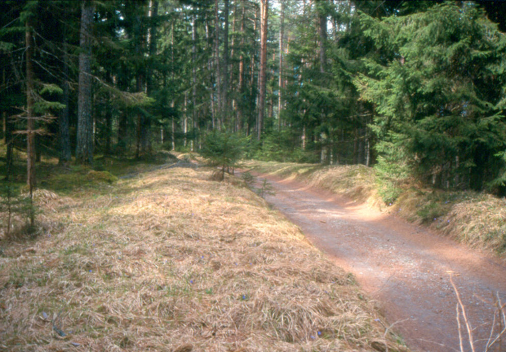 Original Trasse Strader Wald