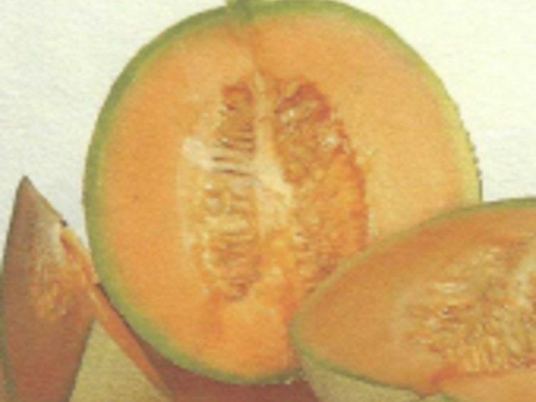 Aufgeschnittene Melone