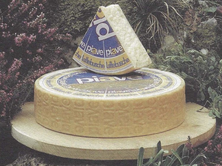 Besondere Lebensmittel Käse
