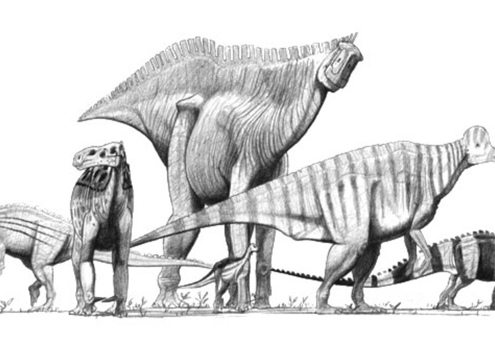 Ornithopods Zeichnung John Conway