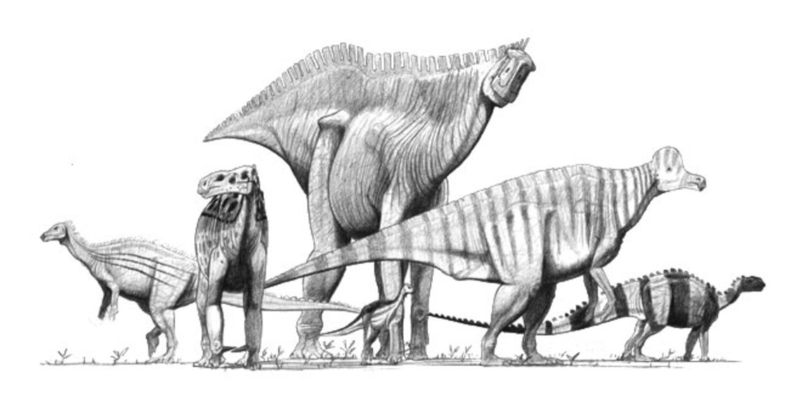 Ornithopods Zeichnung John Conway