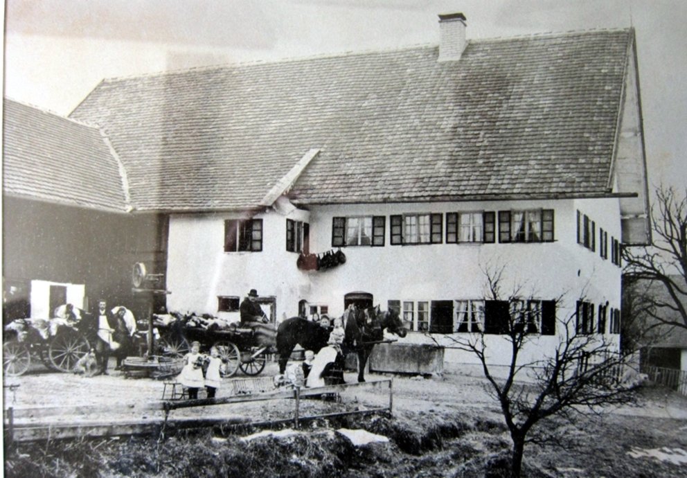 Viehtransport Dopfer, Foto Burggen