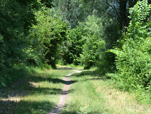 Augsburg Stadtwald Wanderweg