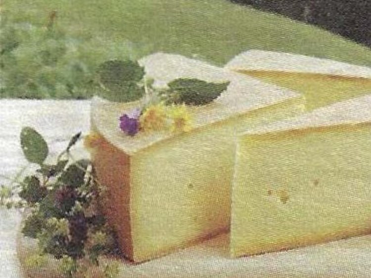Besondere Lebensmittel Käse mit Bergen im Hintergrund