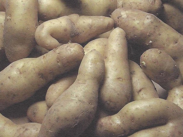 Besondere Lebensmittel Kartoffeln