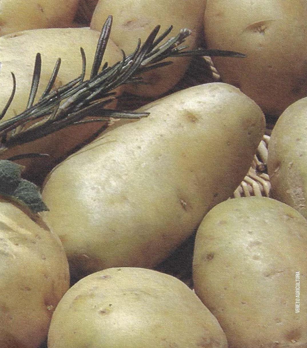 Potatoes and capussi