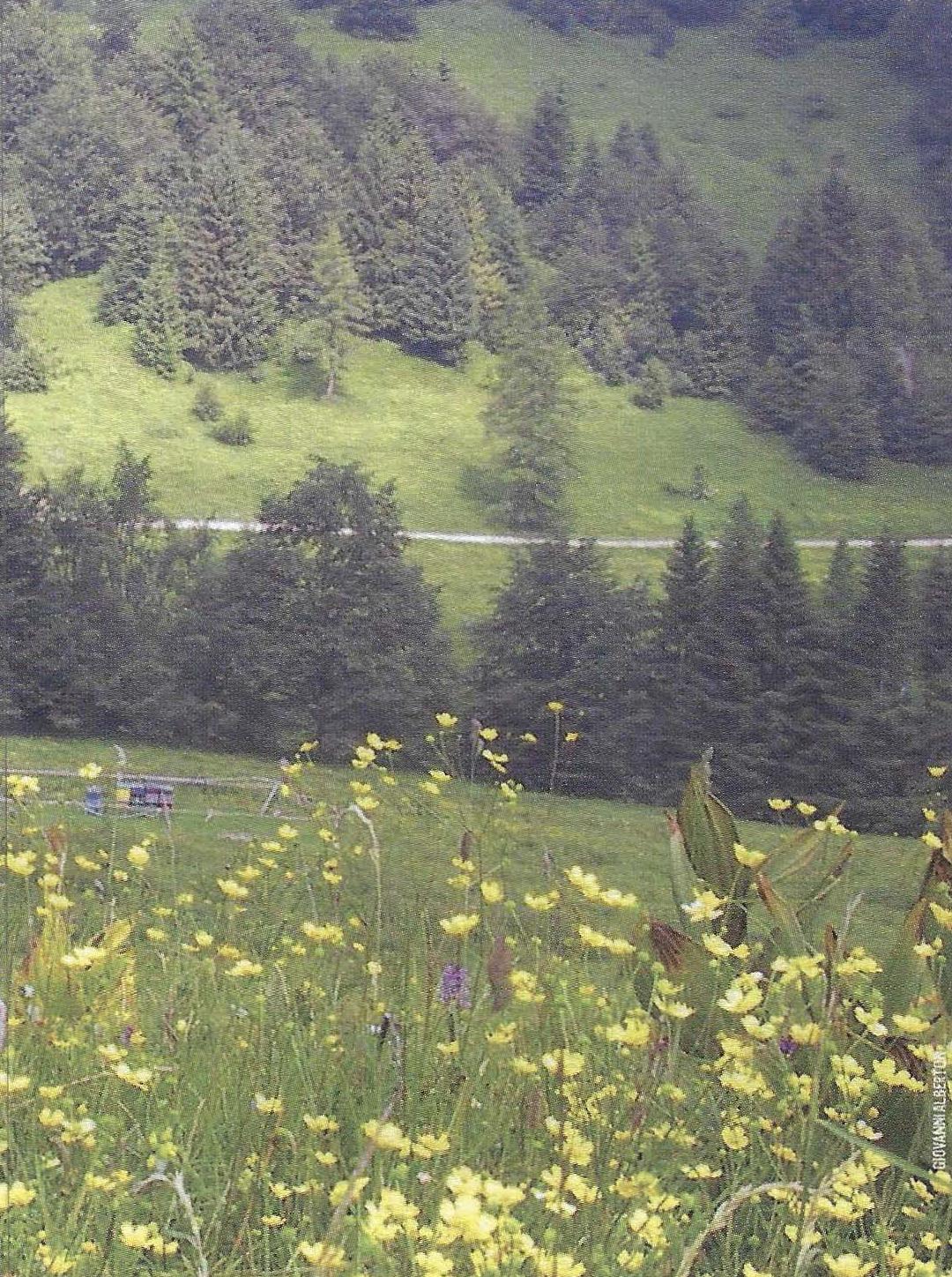 Gebiet der Belluneser Dolomiten