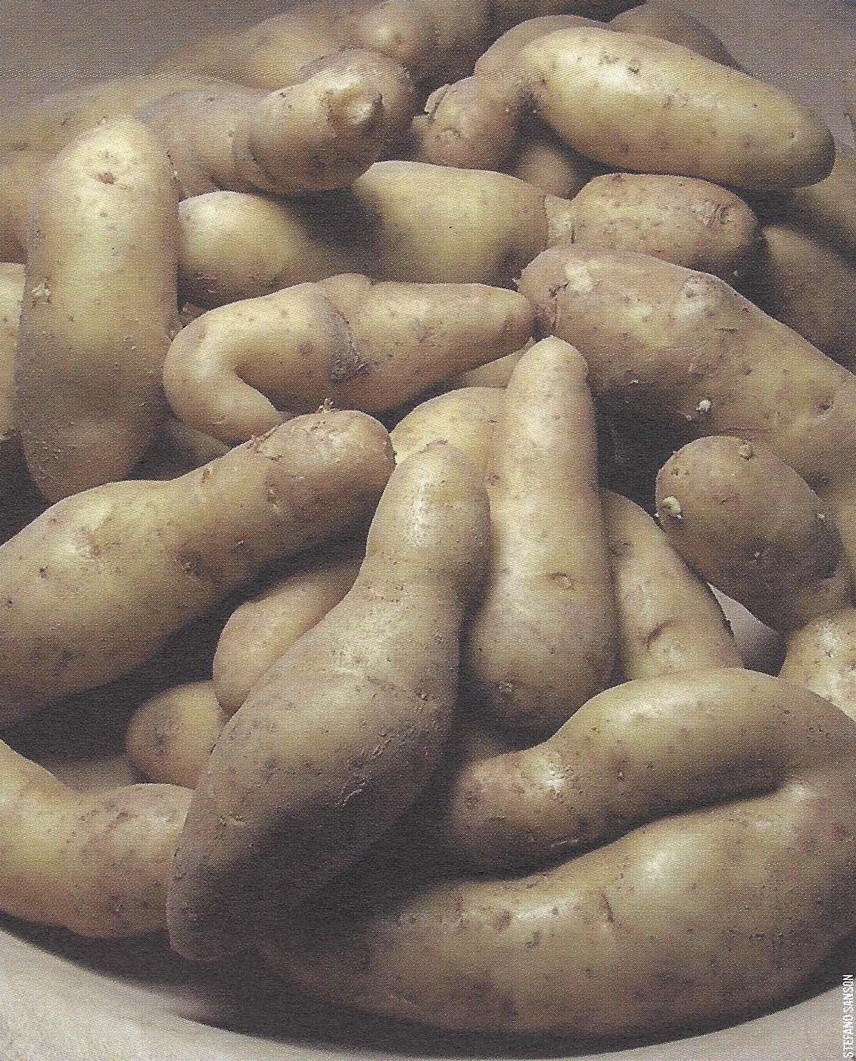 The Potato Festival of Cesiomaggiore